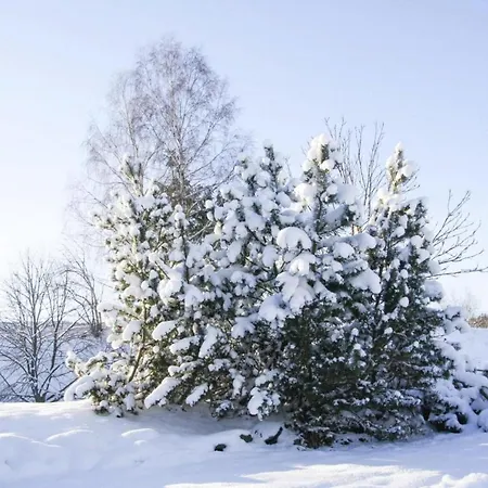 Apartamento Hexenzauber I In Braunlage