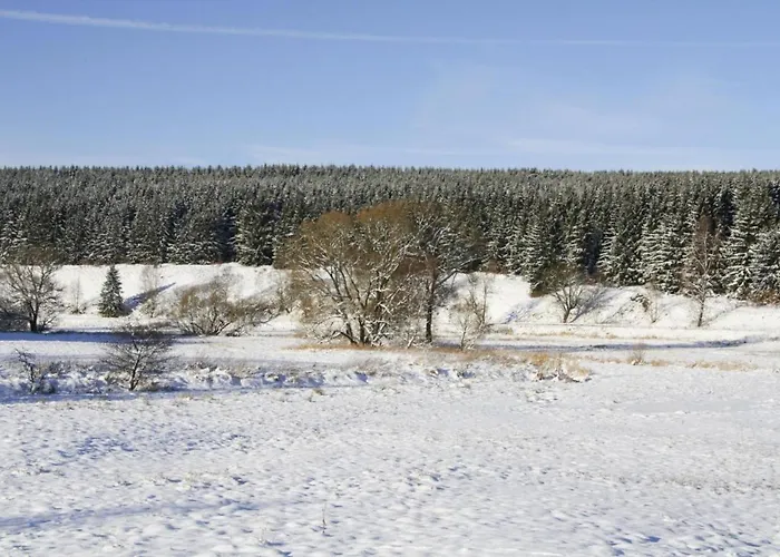 Апартаменты Hexenzauber I In